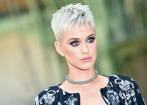 Katy Perry quiere gira mundial