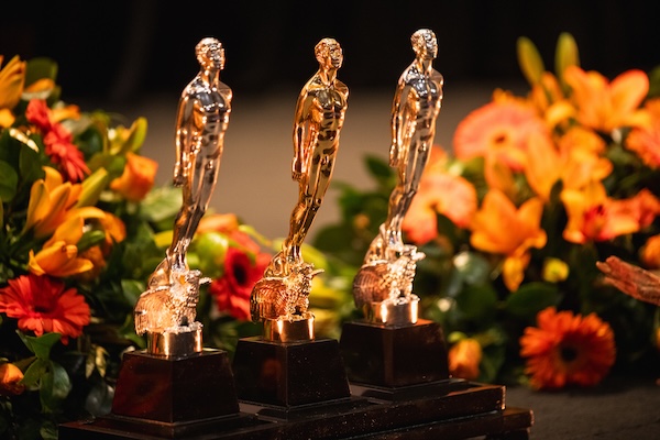 premios-ariel